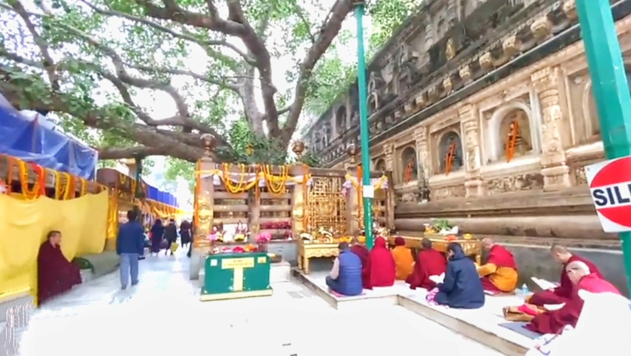 Bodhi Tree