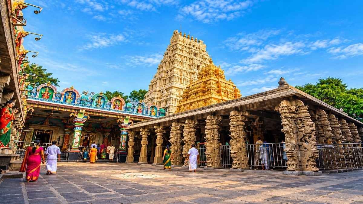 Mallikarjuna 3 Mallikarjuna