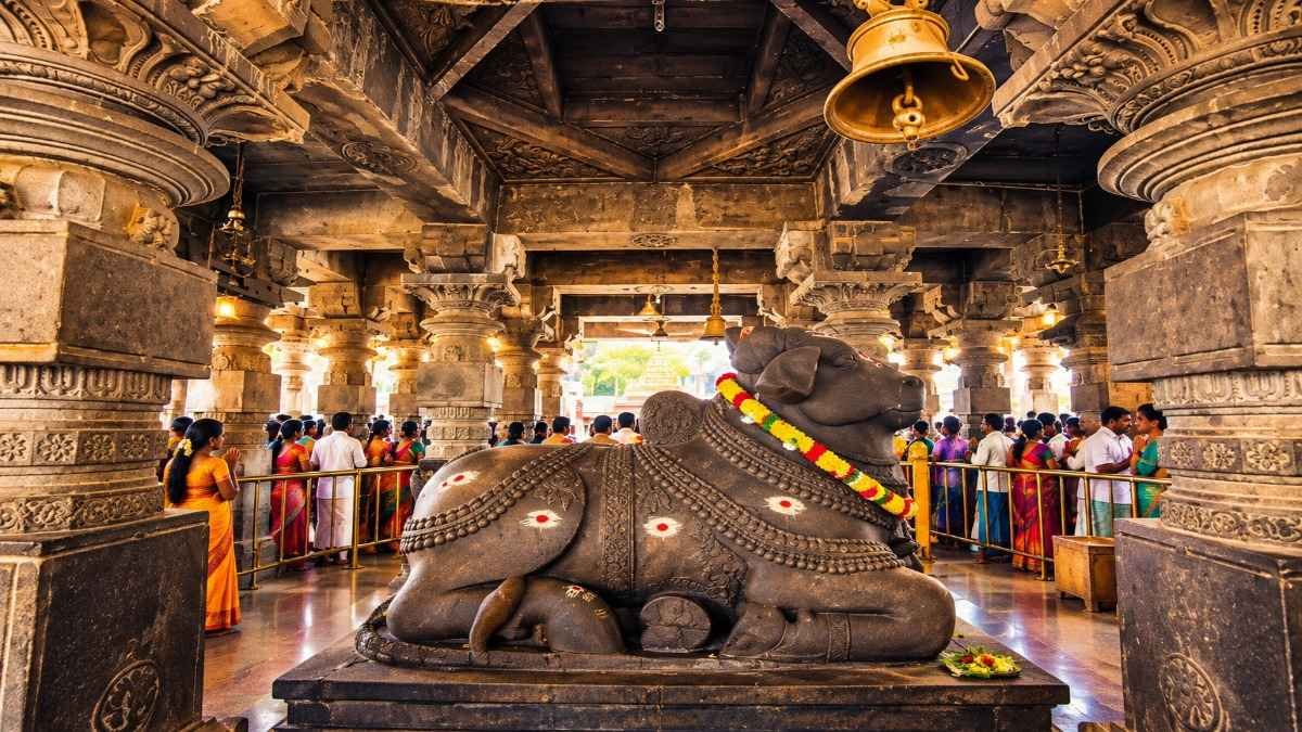 Mallikarjuna 5 Mallikarjuna