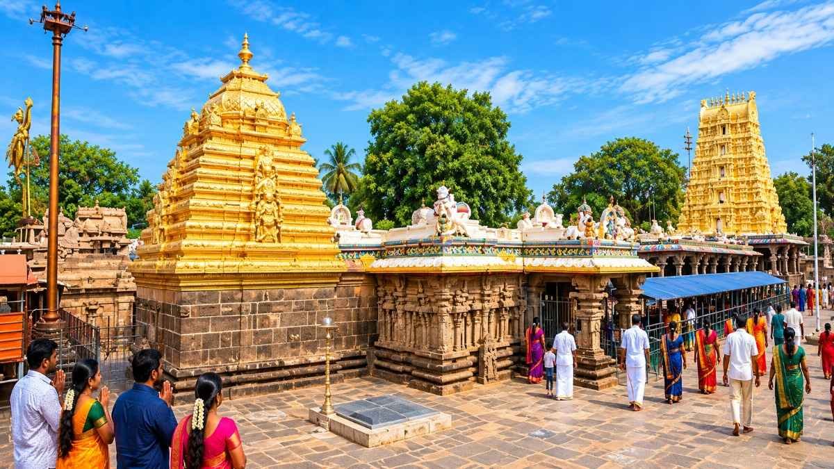 Mallikarjuna 7 मां भ्रामराम्बा देवी